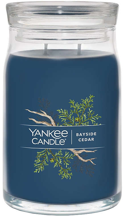 Świeca zapachowa w słoiku Cedar, 2 knoty - Yankee Candle Bayside Cedar — Zdjęcie N2