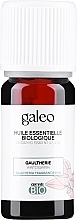 Kup Olejek eteryczny Golteria - Galeo Organic Essential Oil Gaultherie