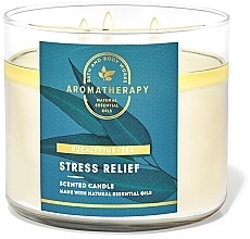 Kup Świeca aromatyczna z 3 knotami - Bath and Body Works Aromatherapy Eucalyptus Tea Scented Candle