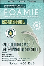 Odżywka z aloesem do włosów suchych, w kostce - Foamie Aloe You Vera Much Care Conditioner Bar — Zdjęcie N1