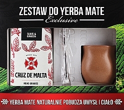 Kup Zestaw do yerba mate - Intenson Exclusive (mate/500g + accessories/2pcs)
