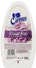 Kup Odświeżacz powietrza Kwiat bzu - Cirrus