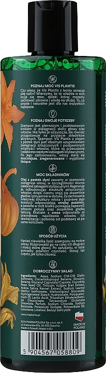 Szampon do włosów osłabionych zabiegami stylizacyjnymi Pestki dyni - Vis Plantis Herbal Vital Care — Zdjęcie N2