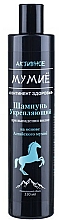 Kup Wzmacniający szampon do włosów - Skimed Aktivnoe mumiyo