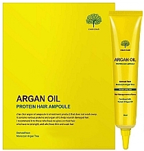 Serum do włosów z olejkiem arganowym - Char Char Argan Oil Protein Hair Ampoule  — Zdjęcie N3