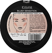 Paleta róży 4 w 1 - Eveline Cosmetics Blush Sensation — Zdjęcie N3