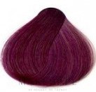 Koloryzujący szampon do włosów - Sanotint Reflex — Zdjęcie 56 - Burgundy