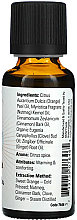 Olejek eteryczny z cydru z przyprawami - Now Foods Essential Spiced Cider Essential Oil — Zdjęcie N2