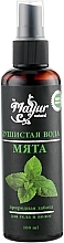 Kup Woda aromatyzowana Mięta - Mayur