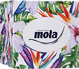 Kup Trójwarstwowe chusteczki higieniczne w pudełku - Mola Tissue