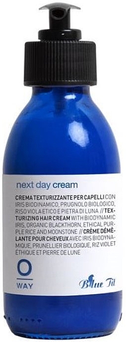 Teksturyzujący krem do włosów - Oway Next Day Cream Blue Tit — Zdjęcie N1