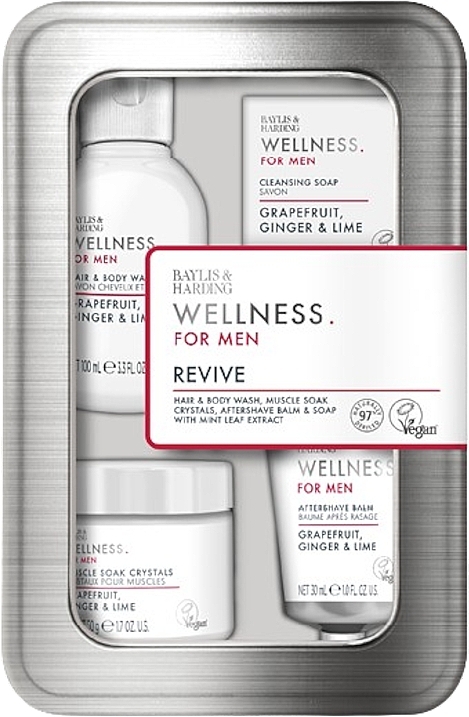 Zestaw - Baylis & Harding Wellness For Men His Essential Wellbeing Gift Set (sh/gel/100ml + ash/balm/30ml + soap/25g + crystal/50g) — Zdjęcie N1