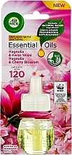 Kup Wymienny wkład do odświeżacza powietrza Magnolia i kwiat wiśni - Air Wick Essential Oils Electric Magnolia And Cherry Blossom