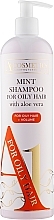 Miętowy szampon do włosów przetłuszczających się - A1 Cosmetics Mint Shampoo For Oily Hair With Aloe Vera + Volume — Zdjęcie N1