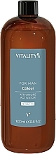 Aktywator do włosów i brody dla mężczyzn 4% - Vitality’s For Man Colour Activator 13 vol. — Zdjęcie N1