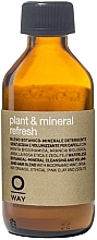 Kup Suchy szampon do włosów - Oway Plant & Mineral Refresh Dry Shampoo