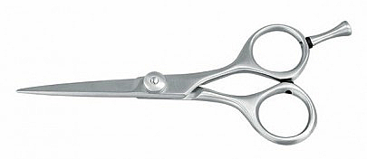 Nożyczki fryzjerskie - Bifull Professional Scissors Bacic 5.5" — Zdjęcie N1