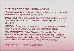 Przeciwzmarszczkowy krem rozświetlający do twarzy - The Skin House Wrinkle Away Fermented Cream — Zdjęcie N2