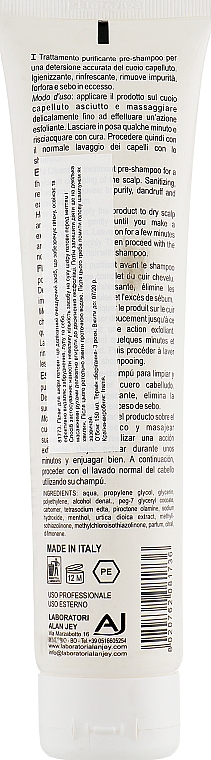 Peeling do skóry głowy - Alan Jey Day by Day Peeling Pre-shampoo — Zdjęcie N2