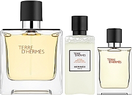 Hermes Terre d'Hermes Parfum - Zestaw (edp/75 ml + edp/12.5 ml + ash/lot/40 ml) — Zdjęcie N2