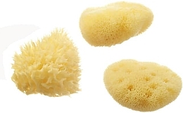 Zestaw gąbek kąpielowych - Hydrea London Mediterranean Honeycomb & Fina Silk (sponge/3pcs) — Zdjęcie N2
