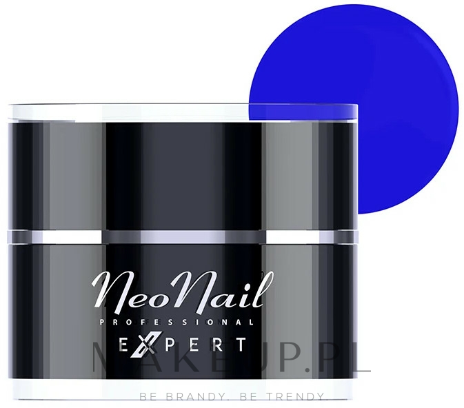 Art-żel do paznokci, Bez lepkiej warstwy - NeoNail Professional Expert Art Gel — Zdjęcie Blue Violet