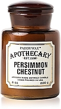 Kup Świeca zapachowa w słoiku - Paddywax Apothecary Artisan Made Soywax Candle Persimmon & Chestnut