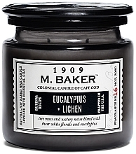 Kup Świeca zapachowa - Colonial Candle Black Tea Flora Scented Jar,M Baker Eucalyptus Lichen