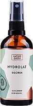Kup Hydrolat ogórkowy do cery tłustej, mieszanej i trądzikowej - Nature Queen