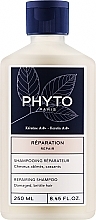 Kup Odbudowujący szampon do włosów zniszczonych i łamliwych - Phyto Repairing Shampoo Damaged, Brittle Hair