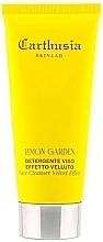 Kup Płyn do mycia twarzy z aksamitnym efektem - Carthusia Skinlab Lemon Garden Face Cleanser Velvet Effect