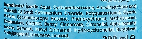Dwufazowa odżywka w sprayu do włosów - Totex Cosmetic Blue Hair Conditioner Spray — Zdjęcie N3
