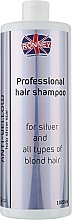 Kup Szampon do włosów jasnych, rozjaśnianych i siwych - Ronney Professional Holo Shine Star Anti-Yellow Shampoo